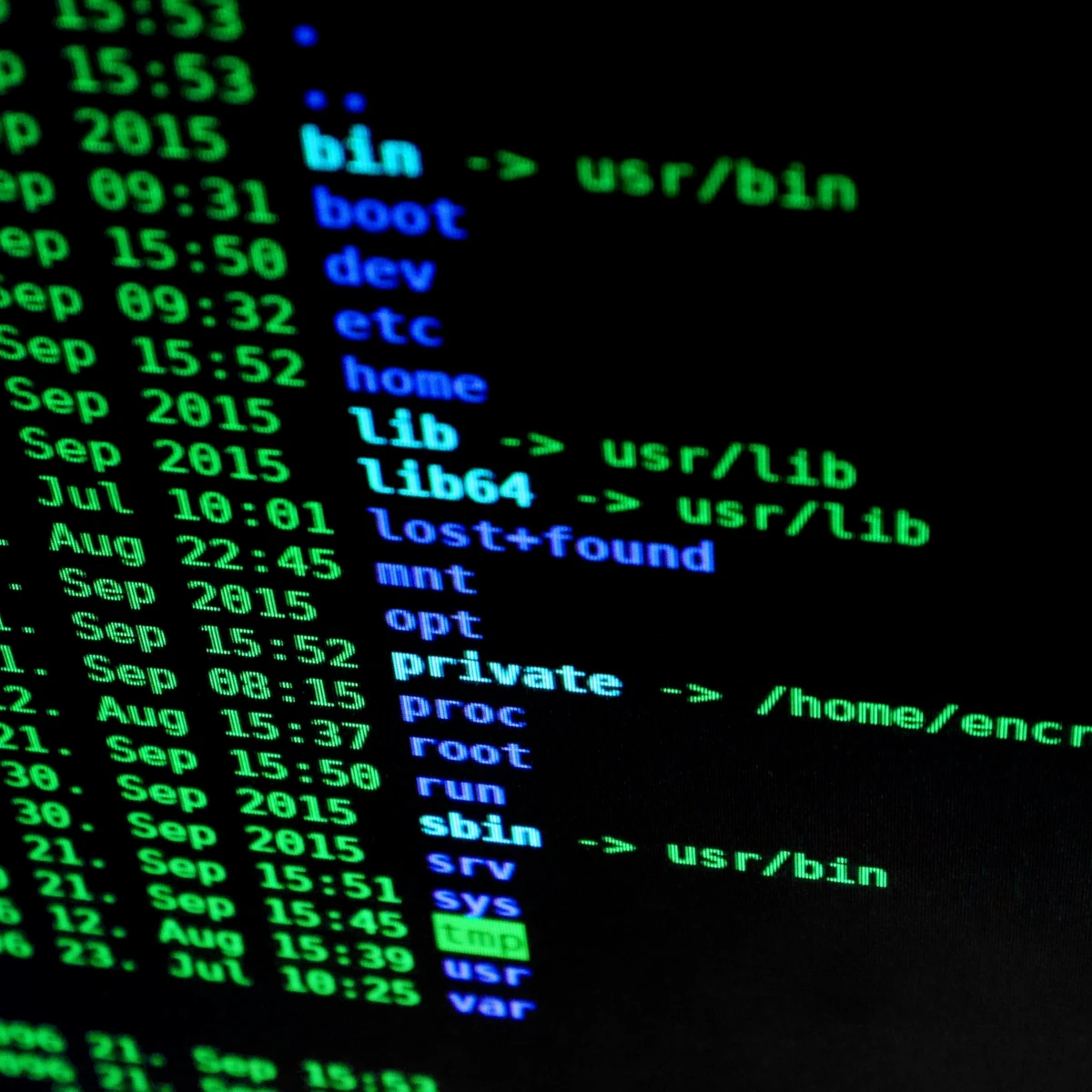 What if your WordPress site gets hacked?